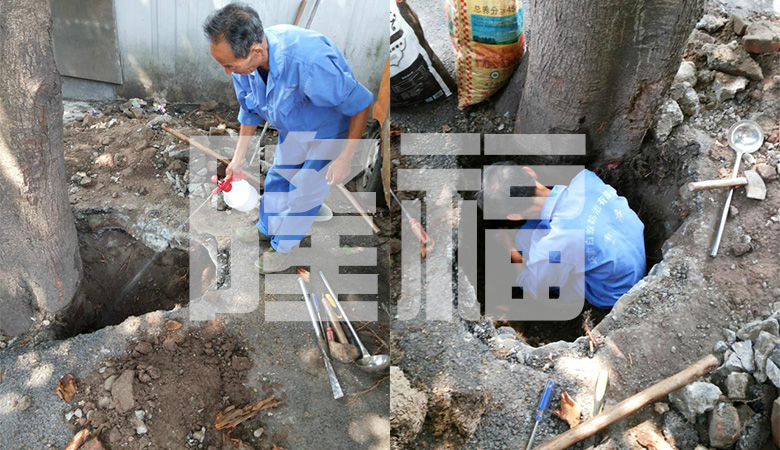 白蟻防治現(xiàn)場