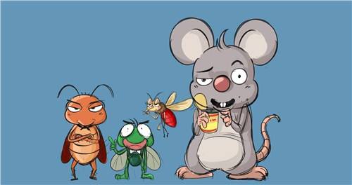 白蟻消殺 白蟻對(duì)園林綠化危害嚴(yán)重性