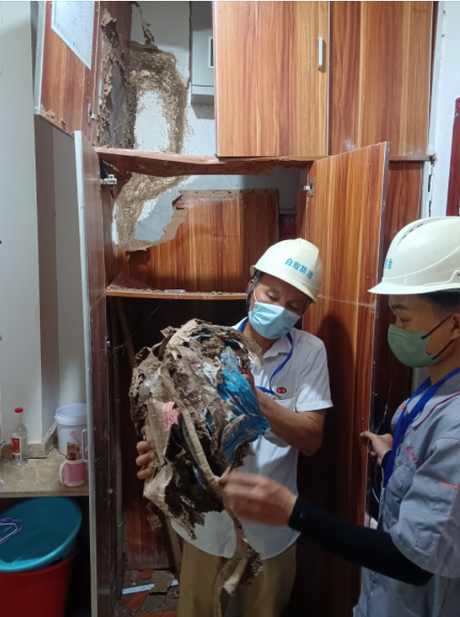 白蟻防治現(xiàn)場